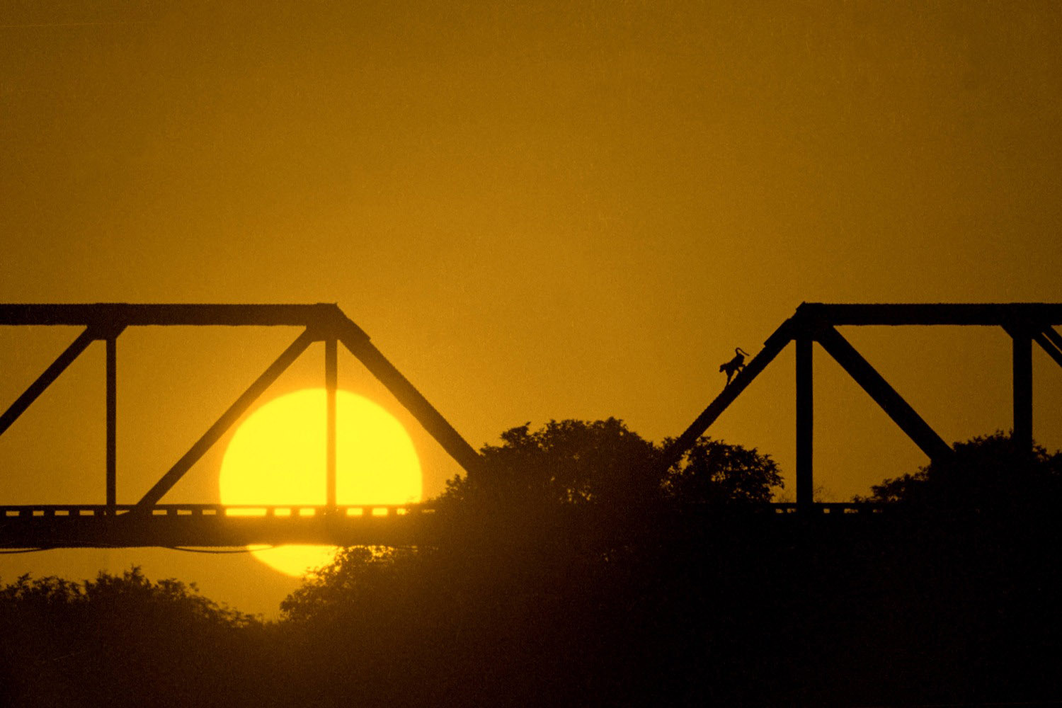 Alte-Eisenbahnbruecke-Skukuza-Suedafrika