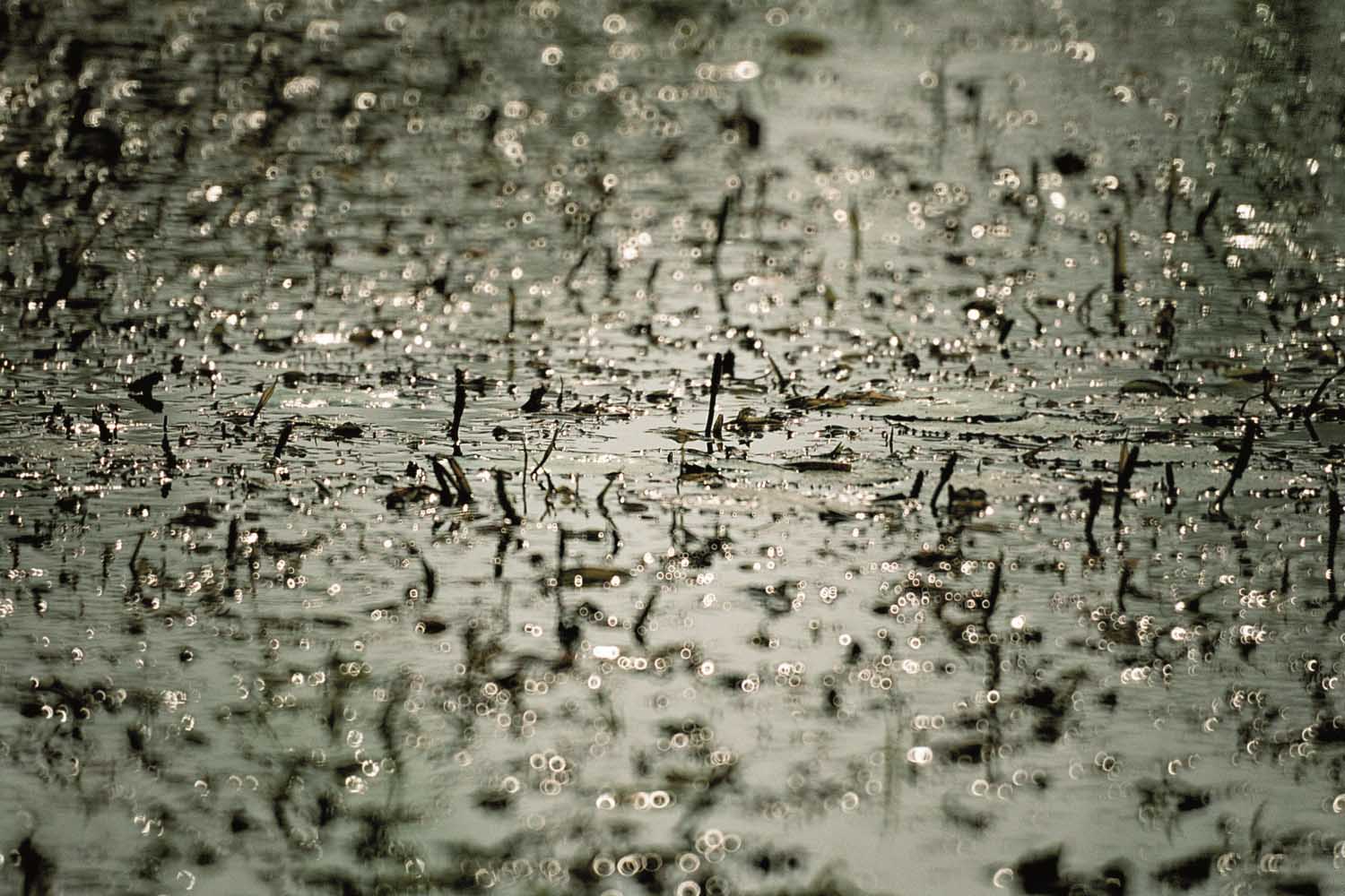 Teichstimmung-Hoedspruit-Suedafrika