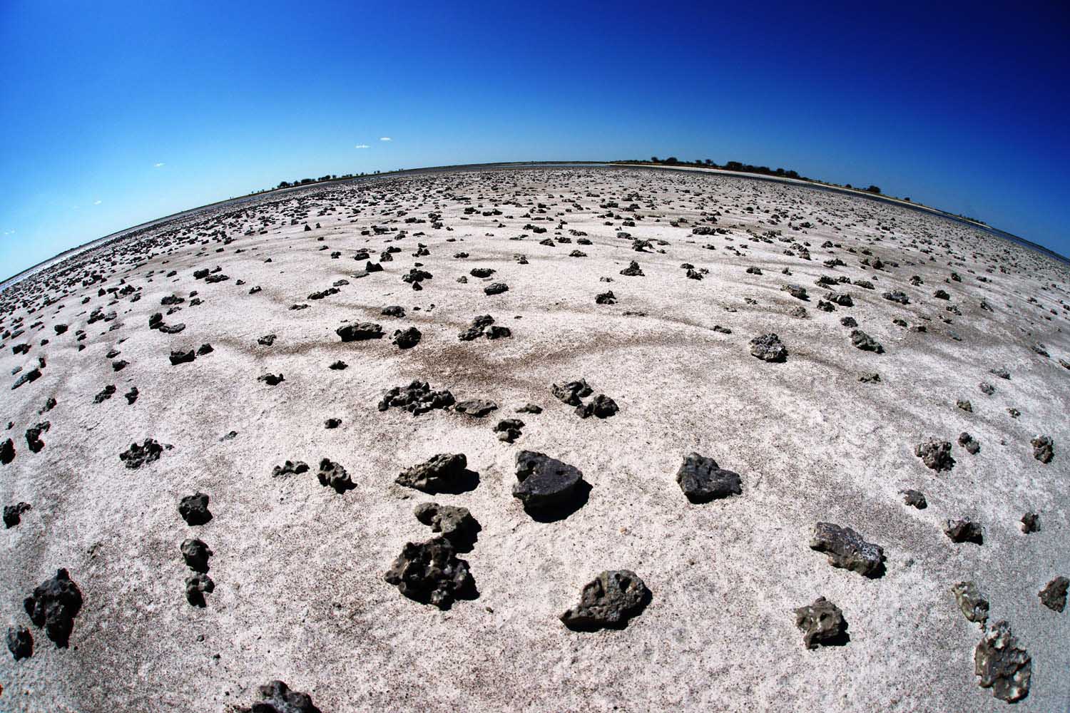 Makgadikgadi-Salzpfannen-Kalahari-Botswana