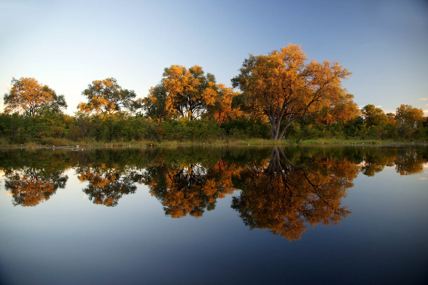 Moremi-Fluss-Moremi-Wildlife-Reserve-Botswana