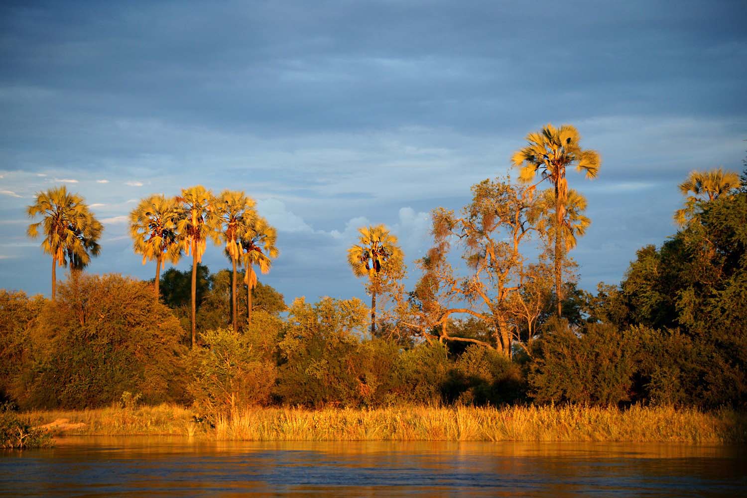 Sambesi-Fluss-Livingstone-Botswana