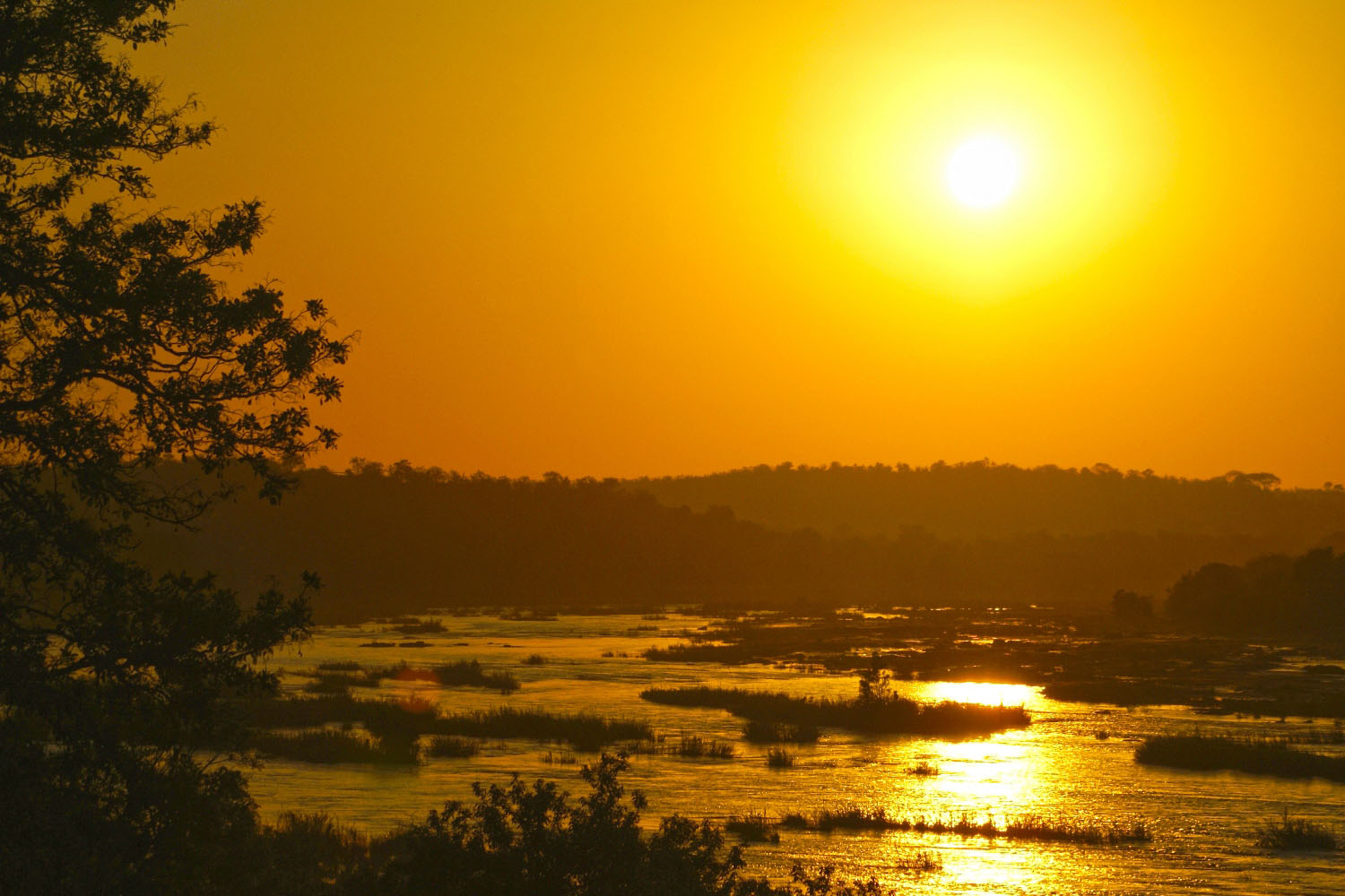 Morgenstimmung-Chobe-Nationalpark-Botswana