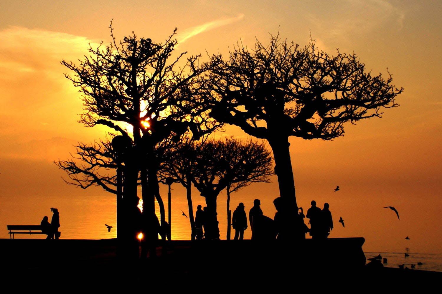 Sonnenuntergang-Zug-Schweiz